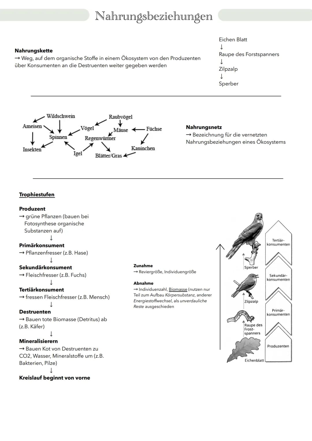 # Ökologie Wechselwirkung zwischen Organismen und Welt
Biosphäre
Ökosystem
Biotop + Biozönose
Population
Organismus
Organismus
→ zeic