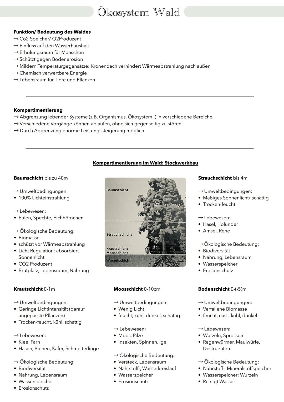 # Ökologie Wechselwirkung zwischen Organismen und Welt
Biosphäre
Ökosystem
Biotop + Biozönose
Population
Organismus
Organismus
→ zeic