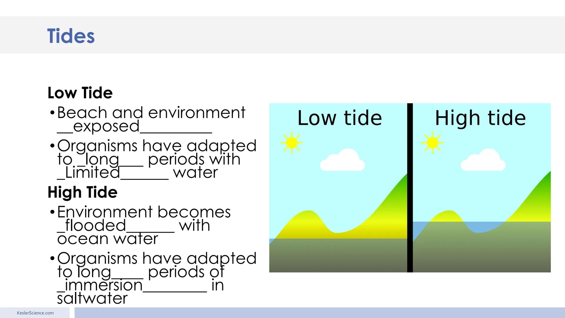 # Tides
Presented by Kesler Science # Warm-Up
Please label the moon phases.
1.
New moon
2.
waxing crescent
3.
first quarter
4.
waxing gibbou