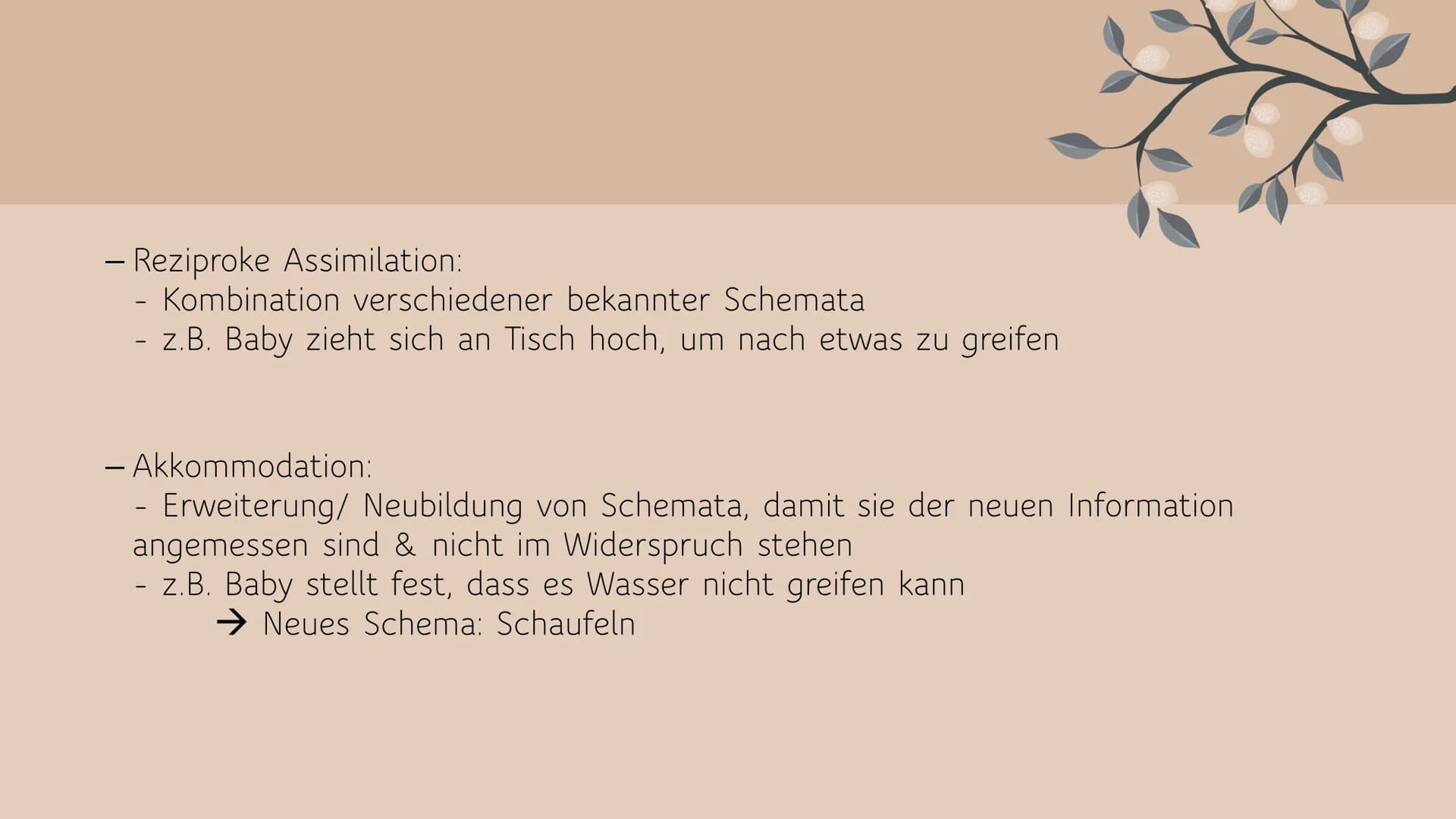 # KOGNITIVE
# ENTWICKLUNG
NACH JEAN PIAGET
Eine Präsentation von Angelina Cozza JEAN PIAGET
- Geboren: 9. August 1896
- Gestorben: 16. S