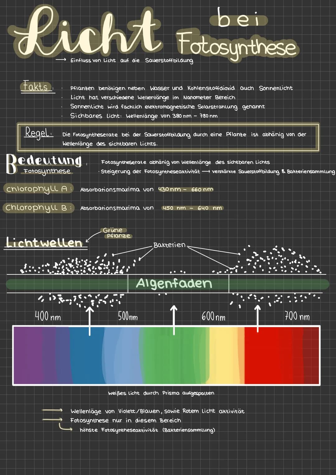 # Fotosynthese
Facts:
ما
$H_2O$
$CO_2$
* Pflanzen benötigen wasser, Sonnenlicht und Kohlenstoffdioxid
* Grünpflanzen synthetisieren
