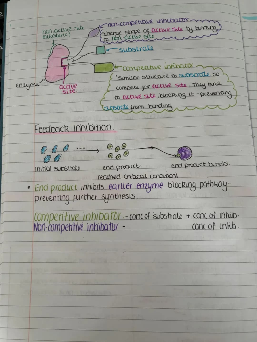 # unit one
1-1-Division And Differentiation
Somatic Cells Cells that aren't involved in reproduction
Germline Cells → Gametes (sperm and