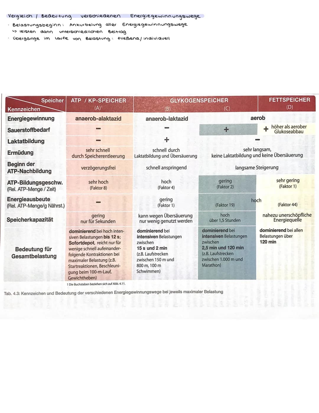 # Ausdauer/ Bedeutung der Ausdauer
Im Sport und auch allgemein versteht man unter Ausdauer die physische + Psychische
Widerstandsfähigkeit