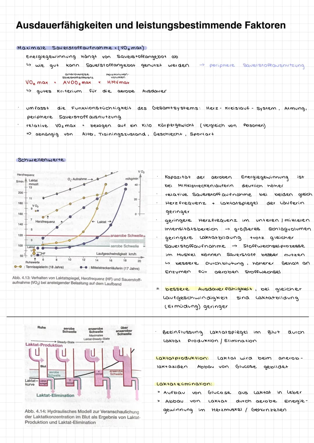 # Ausdauer/ Bedeutung der Ausdauer
Im Sport und auch allgemein versteht man unter Ausdauer die physische + Psychische
Widerstandsfähigkeit