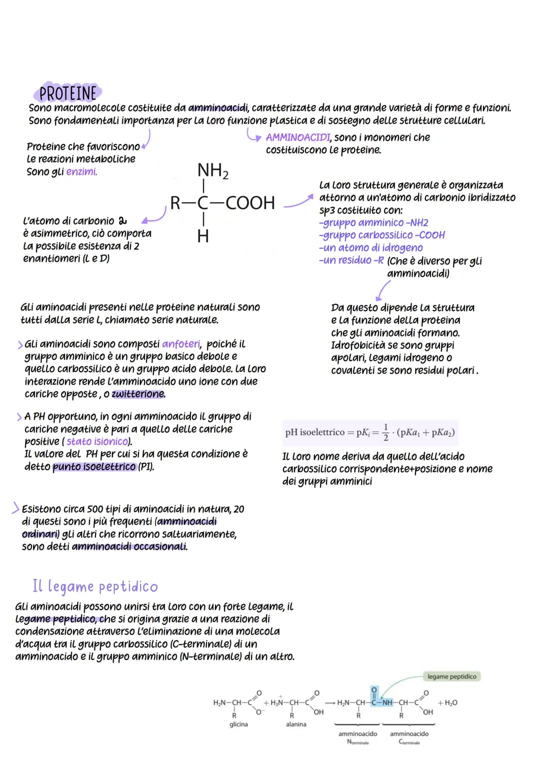 # Biomolecole
Nel mondo degli organismi viventi sono presenti molti tipi di macromolecole, ma gli
elementi che le costituiscono sono essenz
