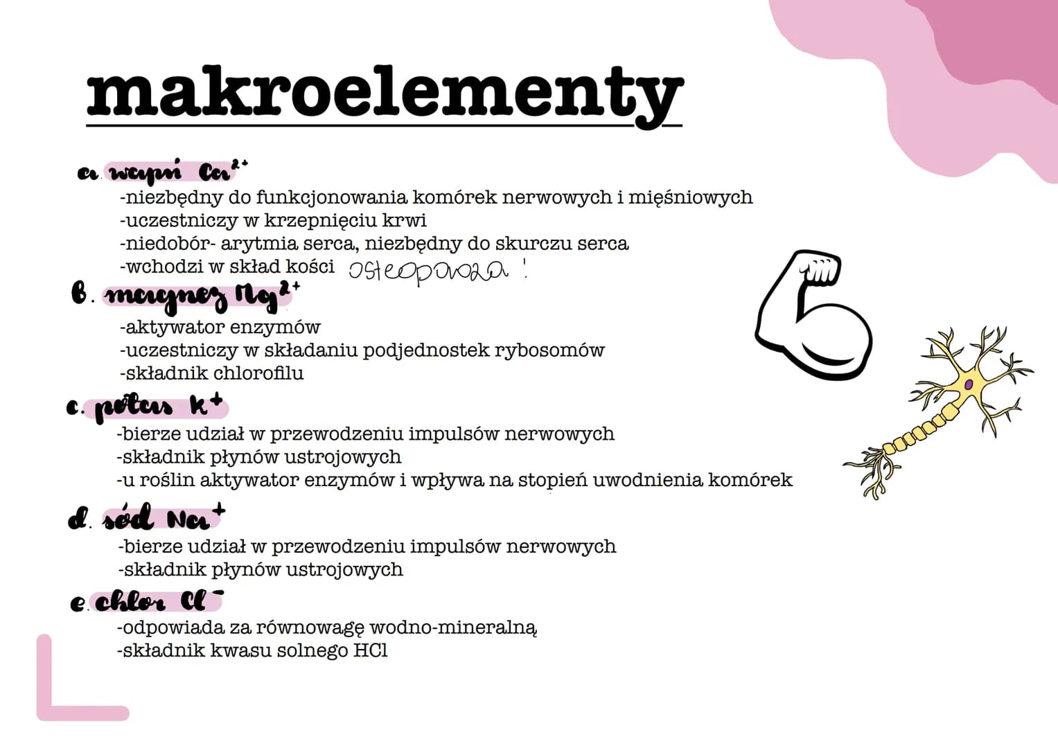 # pierwiastki biogenne
a. węgiel C - podstawowy element strukturalny związków organicznych (tworzy
szkielety węglowe)
b. wodór H₂- składni
