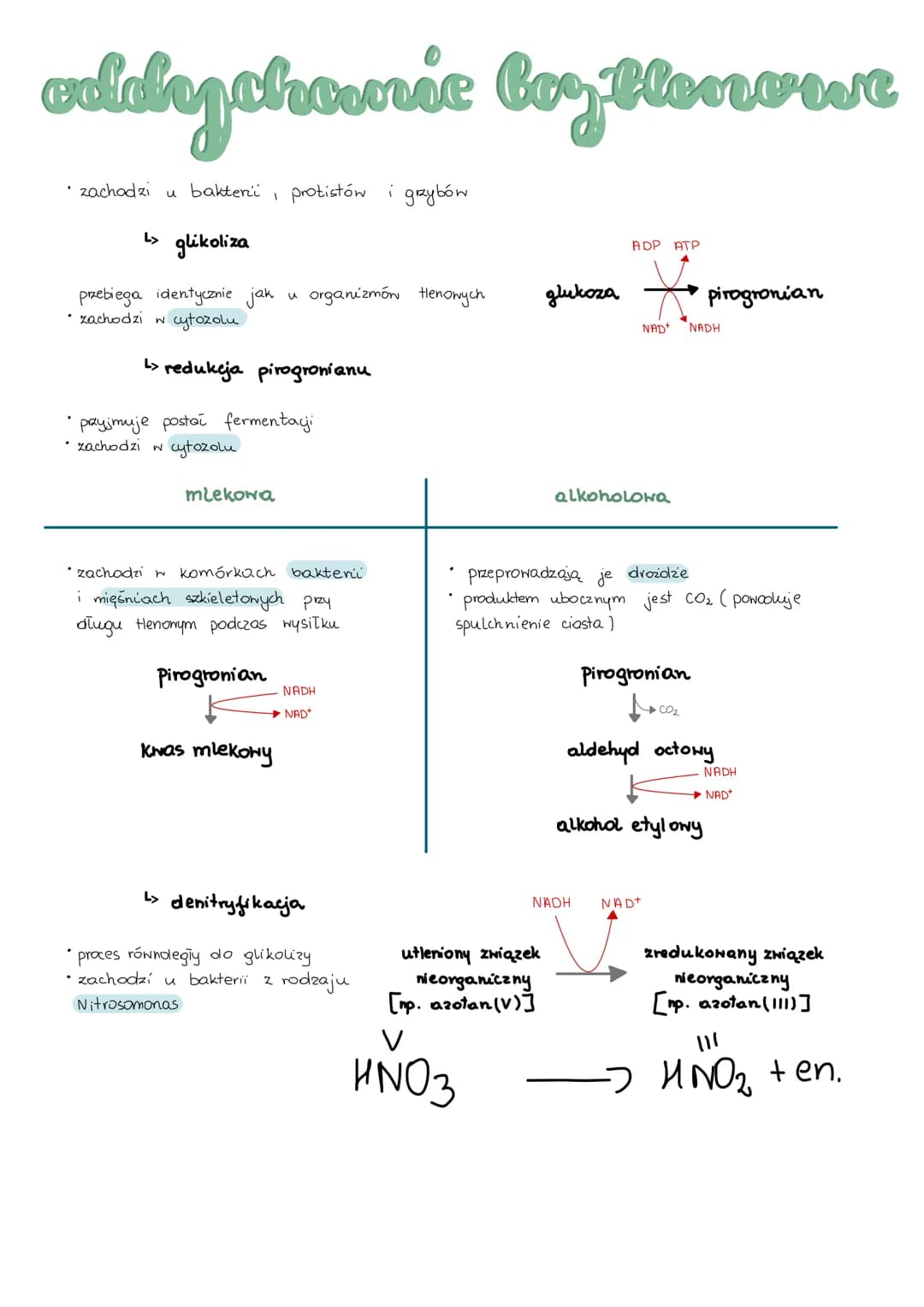 # metabolizm
> anabolizm i katabolizm
* anabolizm - procesy syntezy mniejszych cząsteczek w miększe, wymaga dostarczenia energii,
są wię