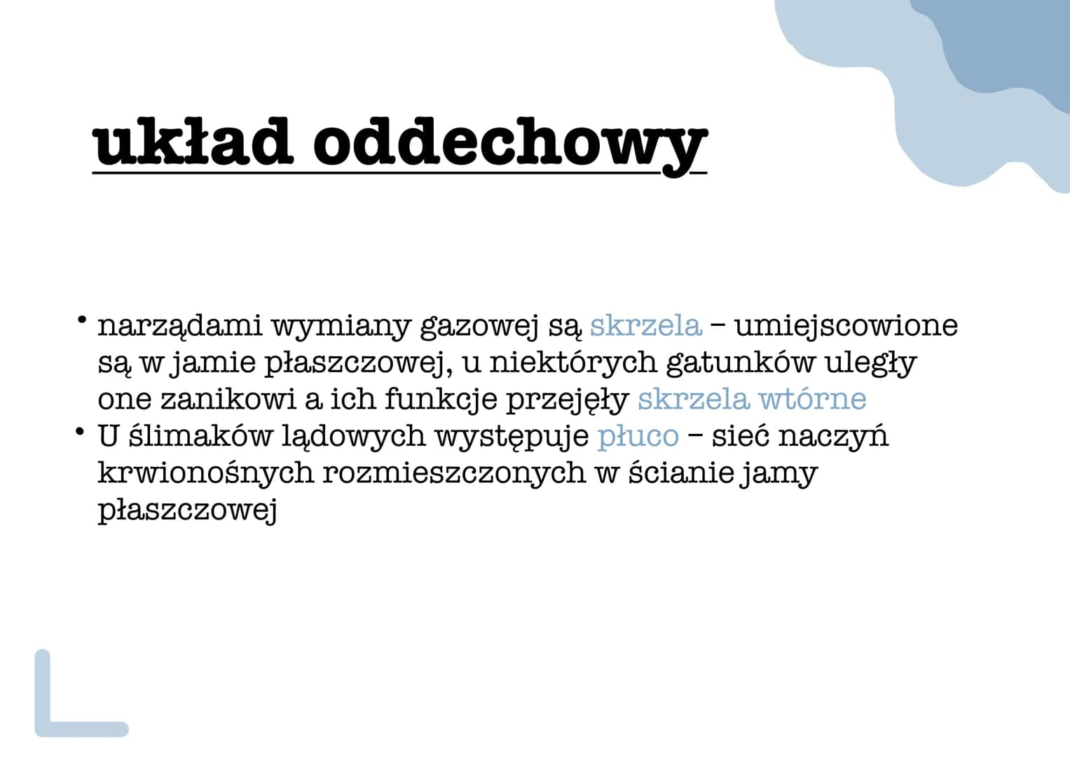 miyazaki - Stan anabiozy - umożliwia
przetrwanie w środowisku
lądowym podczas suszy, zwierzę
wciąga ciało do muszli i zakrywa
jej ujście war