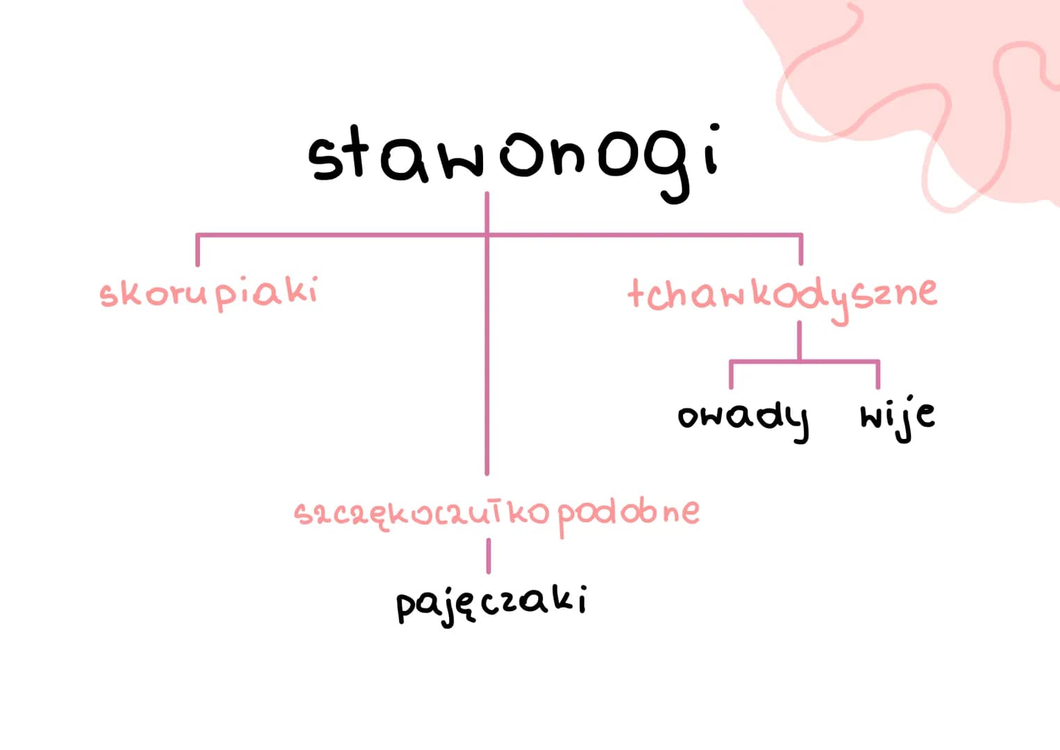 # stawonogi
A
B
C
D
E
F # stawonogi
* skorupiaki
* tchawkodyszne
* owady wije
* szczękoczułko podobne
* pajęczaki #