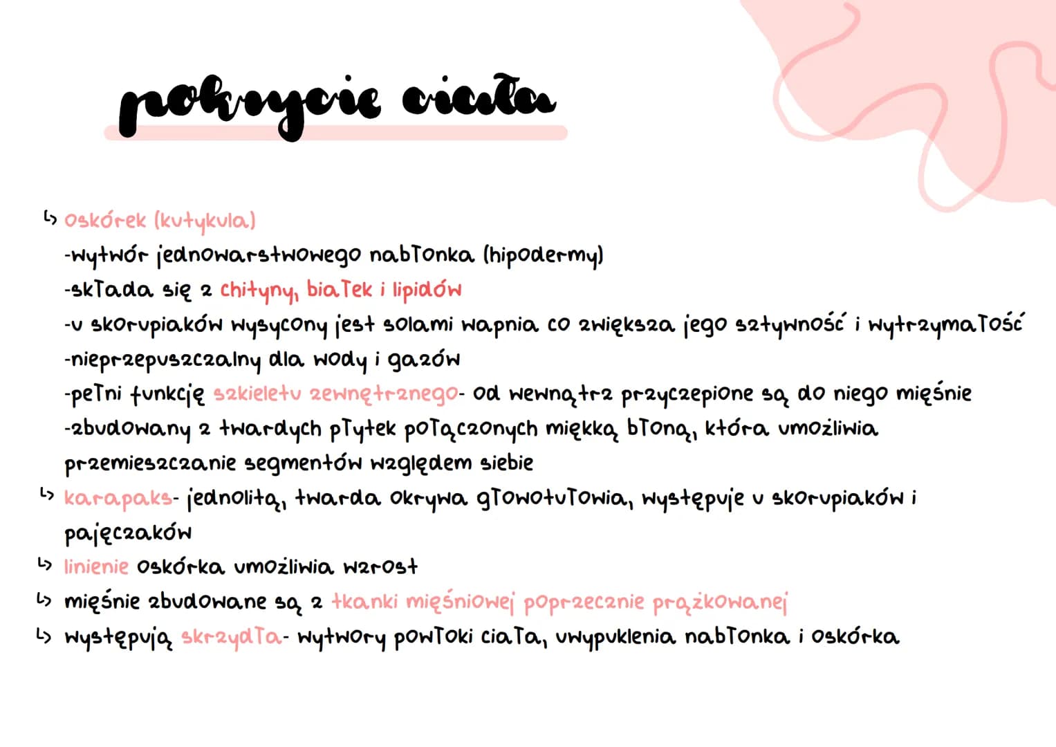 # stawonogi
A
B
C
D
E
F # stawonogi
* skorupiaki
* tchawkodyszne
* owady wije
* szczękoczułko podobne
* pajęczaki #
