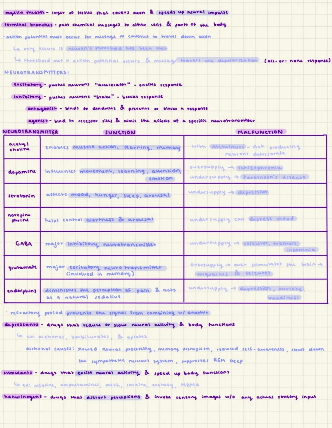 # UNIT 2 SIUDY GUIDE
- behavioral geneticists study the power & limits of genetic & environmental influences on behavior
- Is murations,