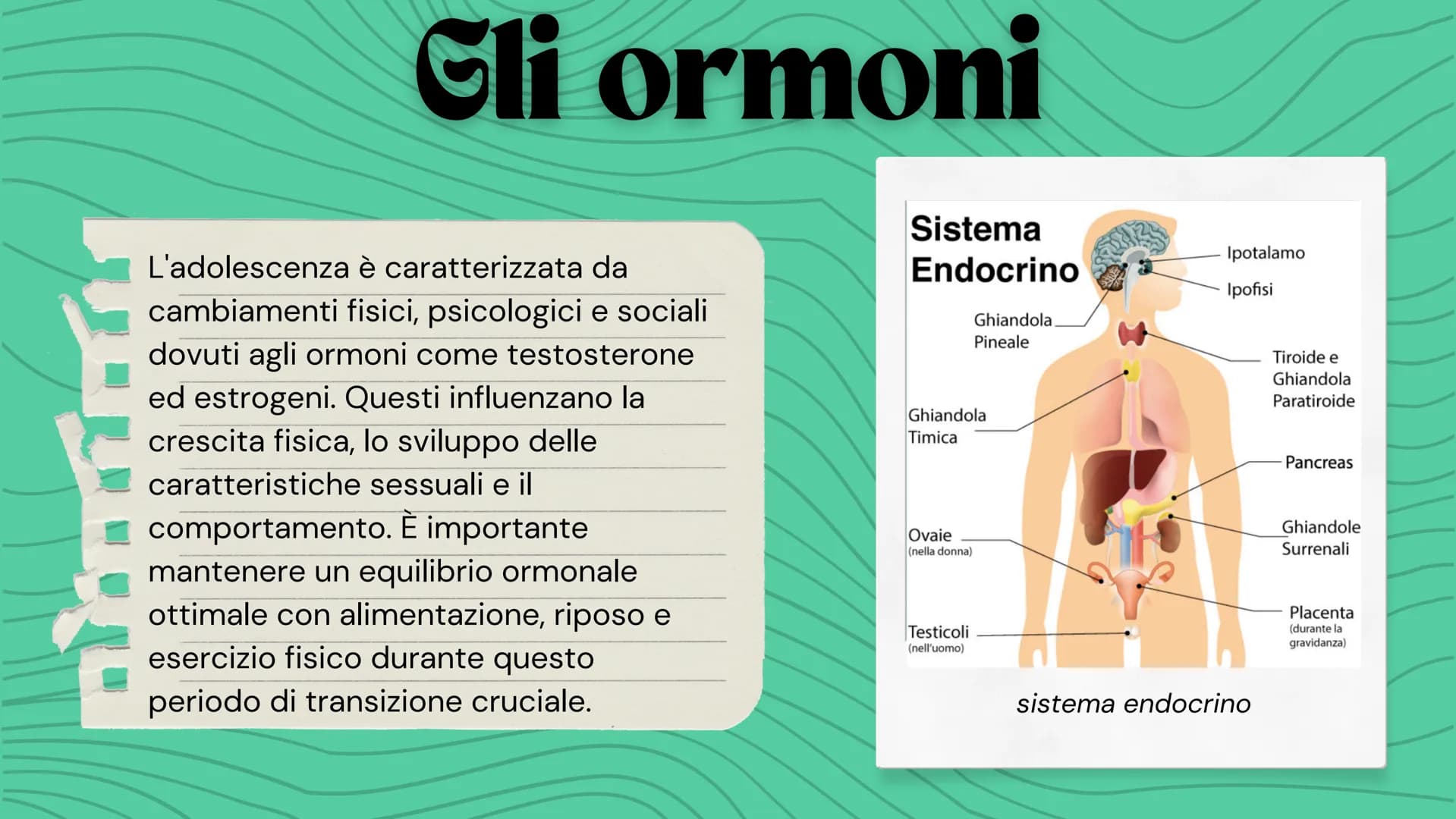 # adolescenza
Sofia Cerruto, 3B Scienze:
gli ormoni
Italiano:
De Amicis, Cuore
Musica:
i bambini prodigio,
Mozart
Francese:
Les bientfaits