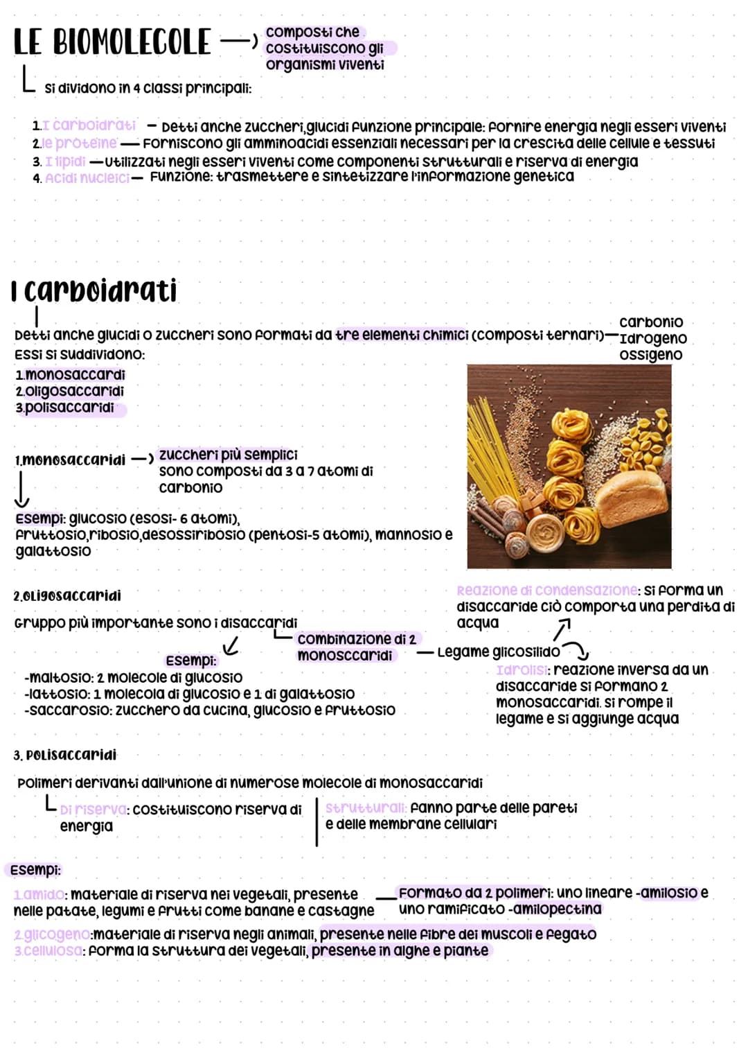 # LE BIOMOLECOLE -) composti che
costituiscono gli
L
organismi viventi
Si dividono in 4 classi principali:
1. 1 carboidrati - Detti anche