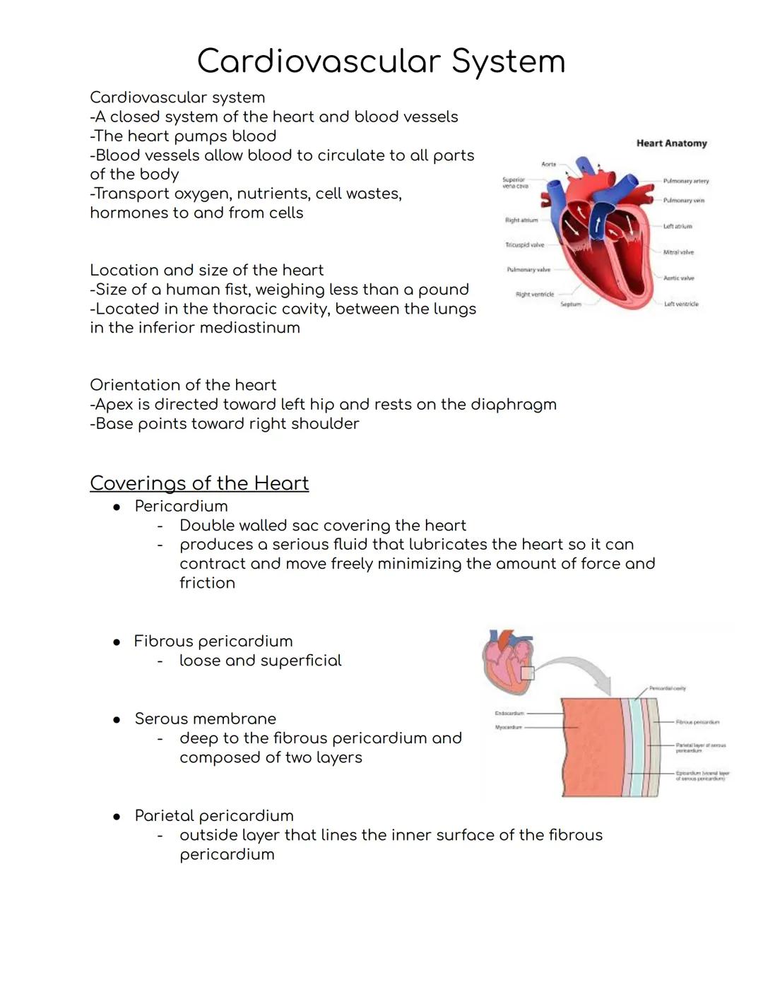 # Cardiovascular System
Cardiovascular system
-A closed system of the heart and blood vessels
-The heart pumps blood
-Blood vessels allow b