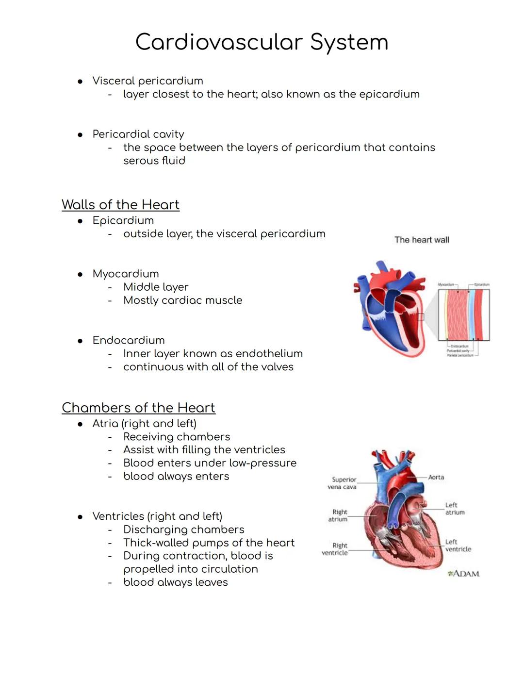 # Cardiovascular System
Cardiovascular system
-A closed system of the heart and blood vessels
-The heart pumps blood
-Blood vessels allow b