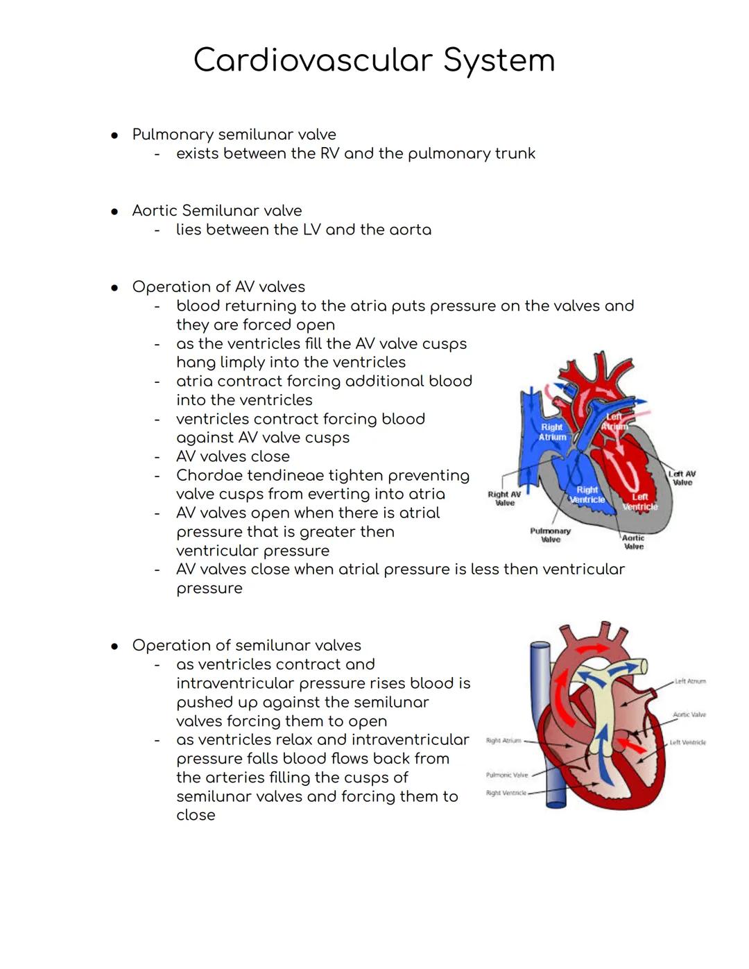 # Cardiovascular System
Cardiovascular system
-A closed system of the heart and blood vessels
-The heart pumps blood
-Blood vessels allow b