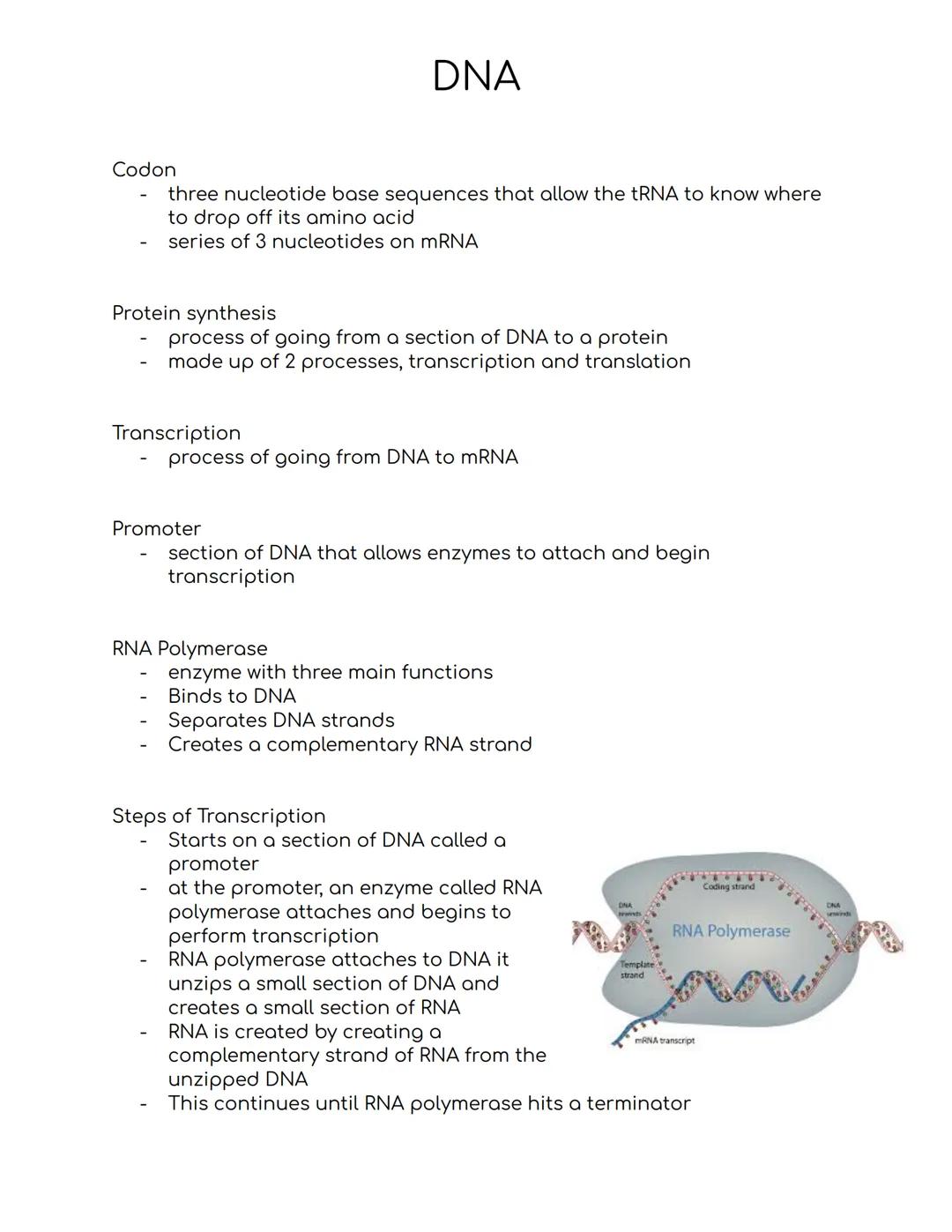 # DNA
DNA
- deoxyribonucleic acid
- stores hereditary information
- not a lot was known about it until the 1900s, people only knew that it