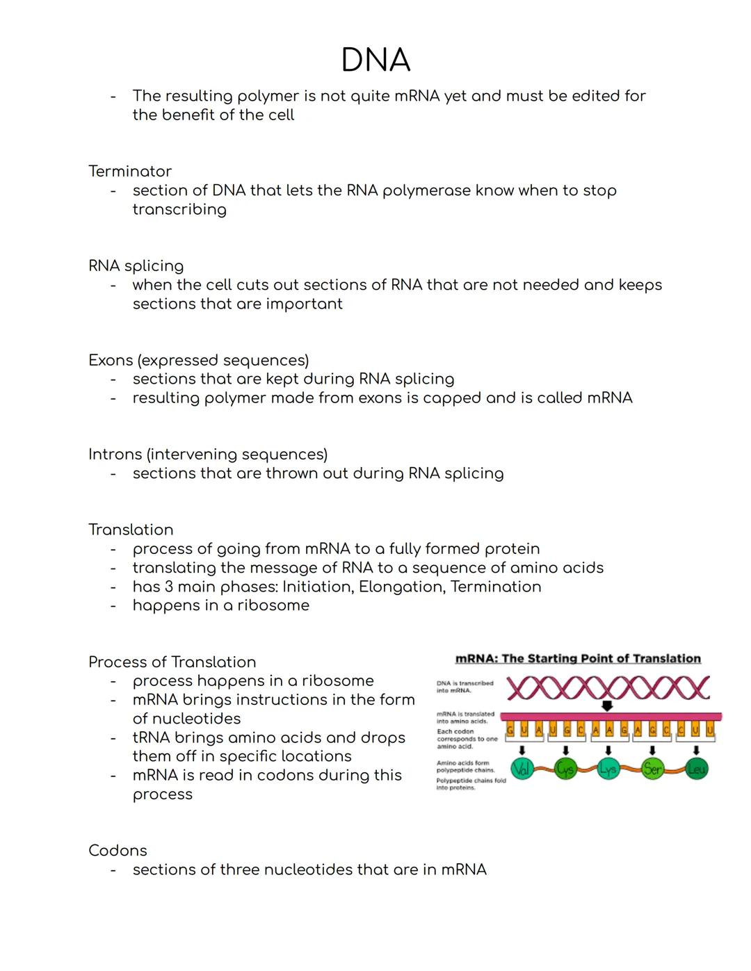 # DNA
DNA
- deoxyribonucleic acid
- stores hereditary information
- not a lot was known about it until the 1900s, people only knew that it