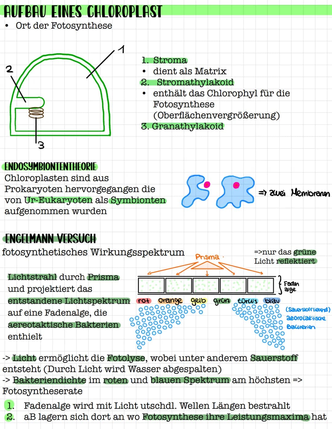 STOFFWECHSELPHYSIOLOGIE
Q2 # STOFFWECHSELPHYSIOLOGIE
Zwei Bereiche:
- Katabolismus (abbauender Stoffwechsel)= Zellatmung
- Anbolismus (aufb