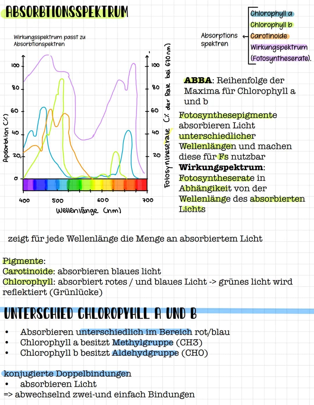 STOFFWECHSELPHYSIOLOGIE
Q2 # STOFFWECHSELPHYSIOLOGIE
Zwei Bereiche:
- Katabolismus (abbauender Stoffwechsel)= Zellatmung
- Anbolismus (aufb