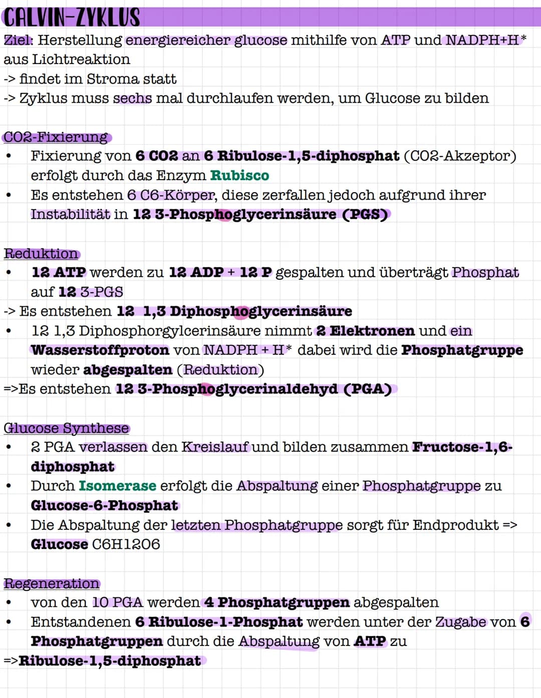 STOFFWECHSELPHYSIOLOGIE
Q2 # STOFFWECHSELPHYSIOLOGIE
Zwei Bereiche:
- Katabolismus (abbauender Stoffwechsel)= Zellatmung
- Anbolismus (aufb