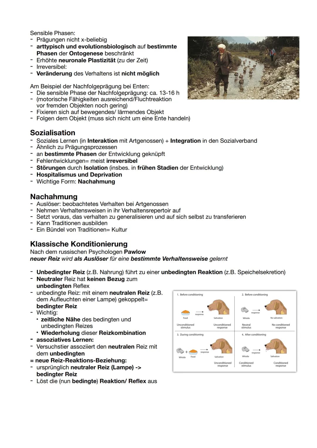 # Verhaltensbiologie
Allgemein
Verhalten
- Interaktion und Reaktion eines Tieres mit/auf seine Umwelt
- Unvermeidlich: man kann sich nicht