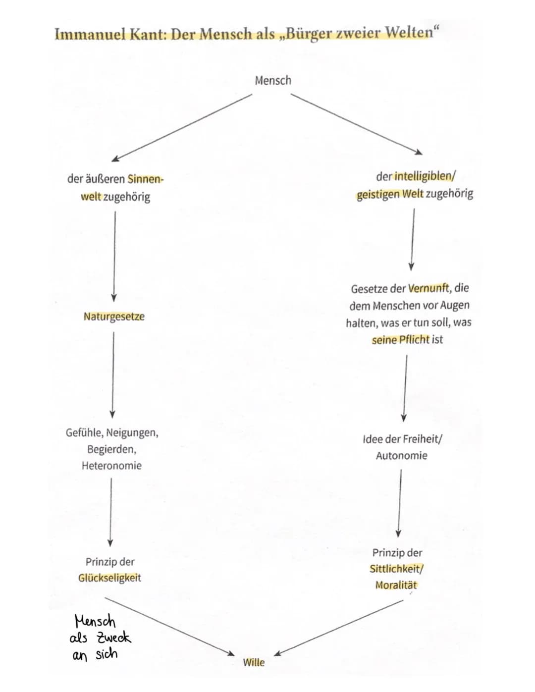 # MENSCHENBILDER
Ethik________/ # Anthropologische Grundpositionen
## Menschenbilder Doppelnatur der Menschen Triebs-/Vernunftswesen
###