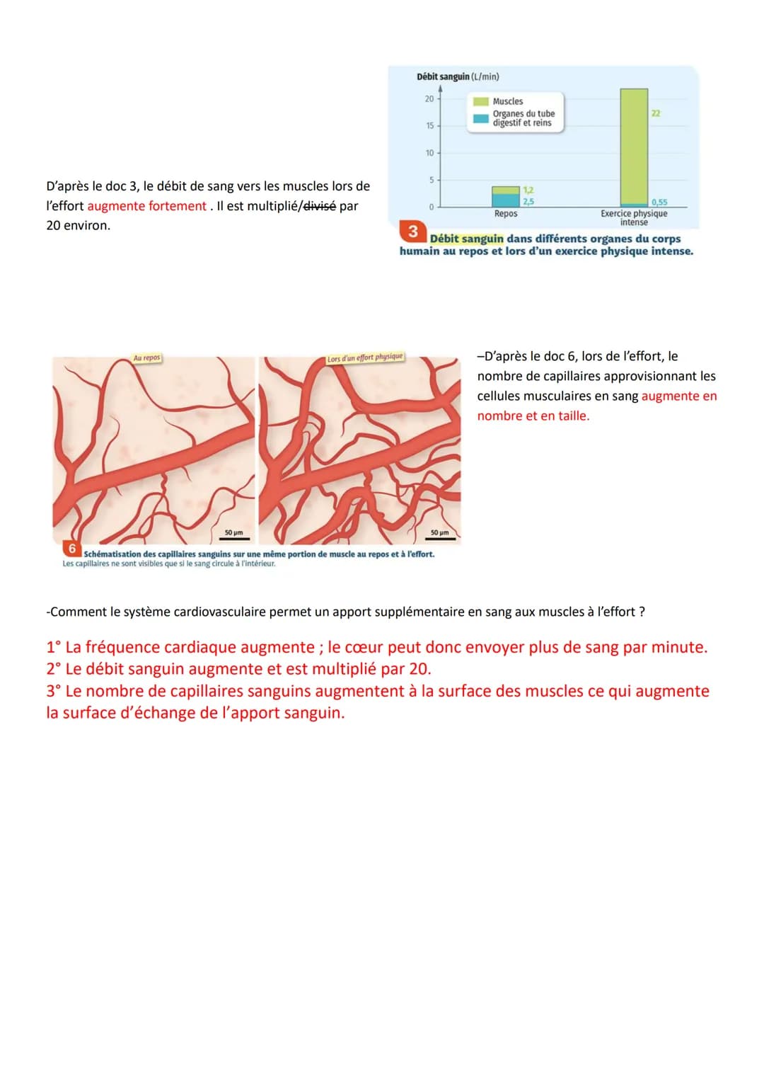 Thème3, chapitre2: Système cardio-respiratoire et effort musculaire
Avant propos, QCM: https://duco.nathan.fr/9782091712529/asset/171258 03