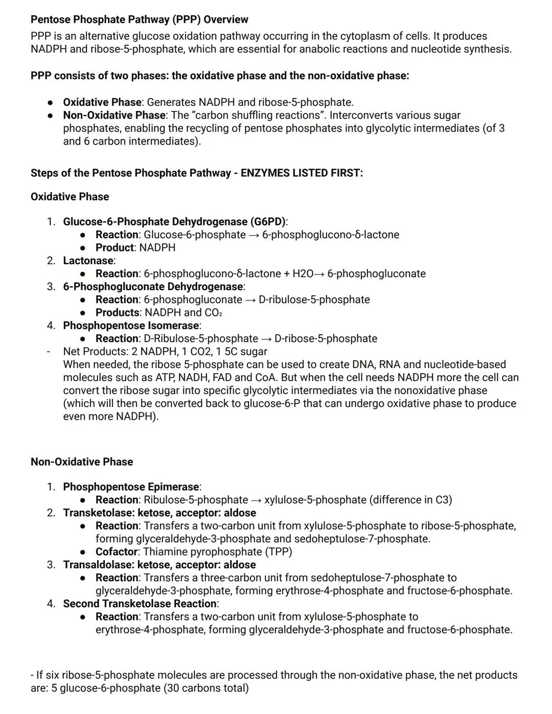 Glycolysis Overview:
- Glycolysis is a metabolic pathway occurring in the cytoplasm of cells. Doesn't require 02.
- Produces two molecules o