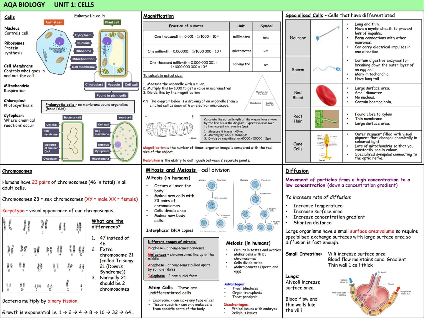 # Biology Knowledge Organisers
Unit 1: Cells
Unit 2: Organisation
Unit 3: Infectious Diseases
Unit 4: Bioenergetics
(Photosynthesis and
Res
