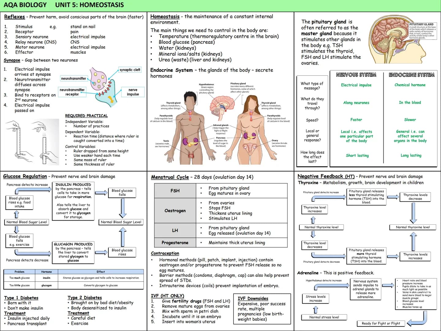 # Biology Knowledge Organisers
Unit 1: Cells
Unit 2: Organisation
Unit 3: Infectious Diseases
Unit 4: Bioenergetics
(Photosynthesis and
Res