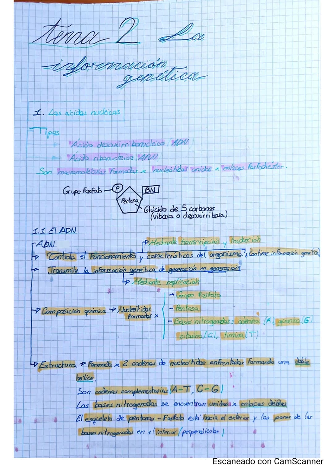 # tema 2 La
información
genetica
1. Las adidas nucleicas.
Γέρος
* Acido desoxirribonucleico HON
* Acido ribonucleica ARU
Son macrom