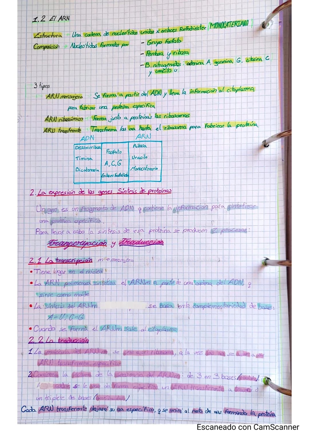 # tema 2 La
información
genetica
1. Las adidas nucleicas.
Γέρος
* Acido desoxirribonucleico HON
* Acido ribonucleica ARU
Son macrom