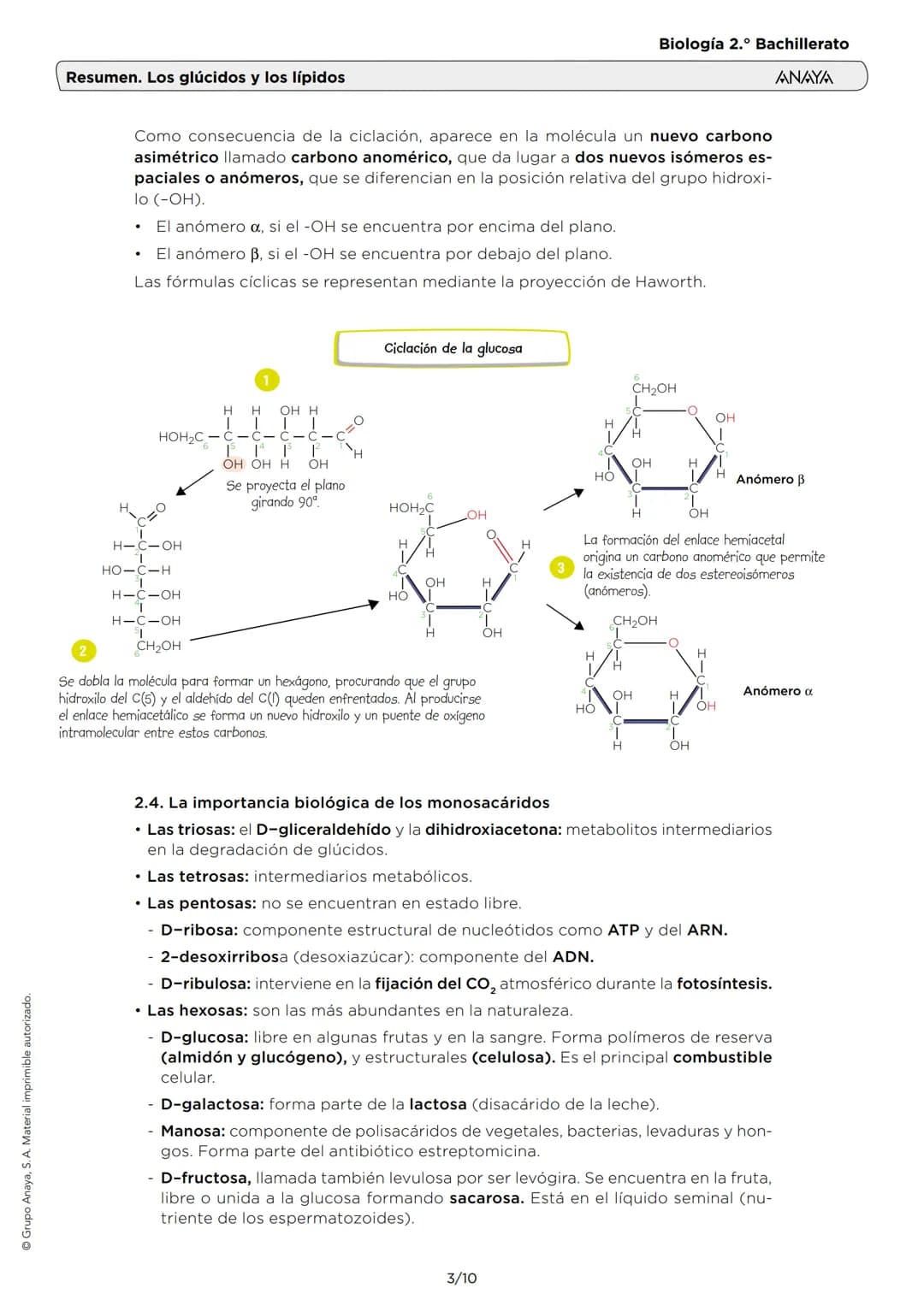 # Resumen. Los glúcidos y los lípidos
Biología 2.º Bachillerato
ANAYA
1. LAS CARACTERÍSTICAS DE LOS GLÚCIDOS
Son biomoléculas orgánicas f