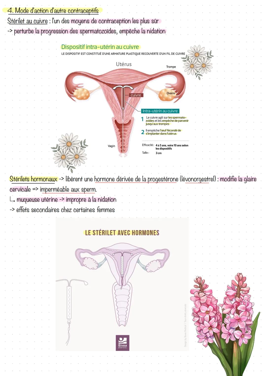 # Partie 1 - la contraception
La régulation du taux d'hormone sexuelles => maitrise de la procréation -> régulation des naissances,
cette