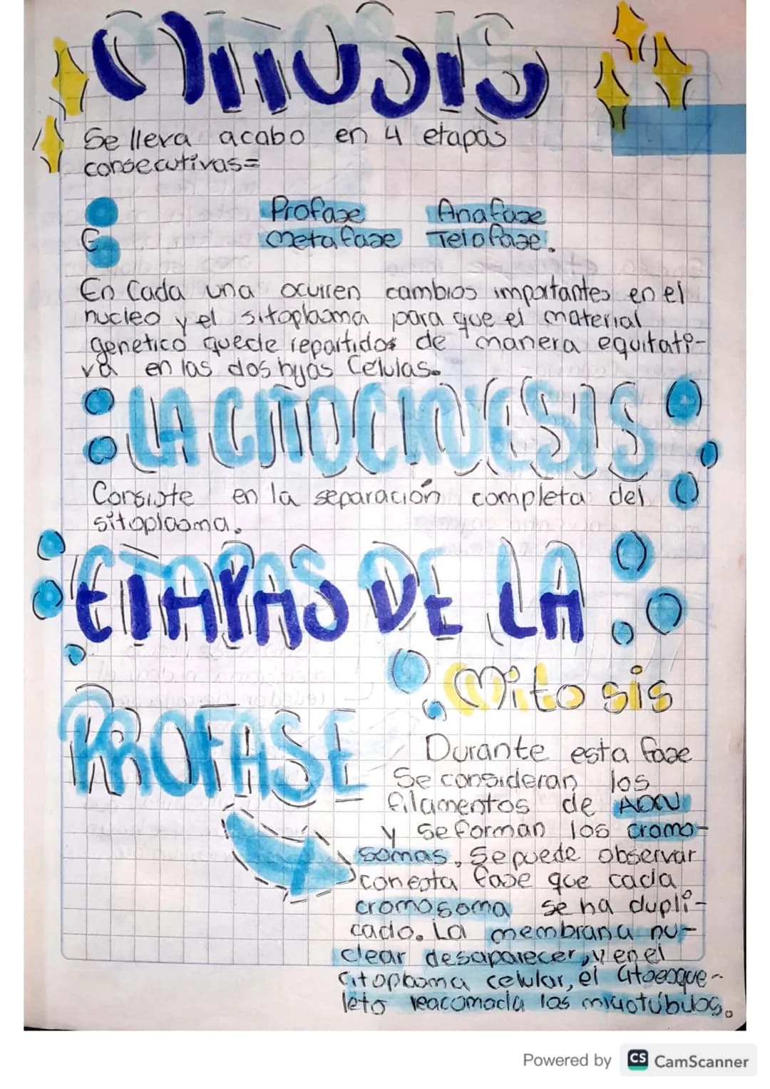 00
# CICIO CELULAR
1
# Interfase
I to el período comprendido
I entre la citoanesis y milosis
y representa la mayor parte
dela vida de una ce