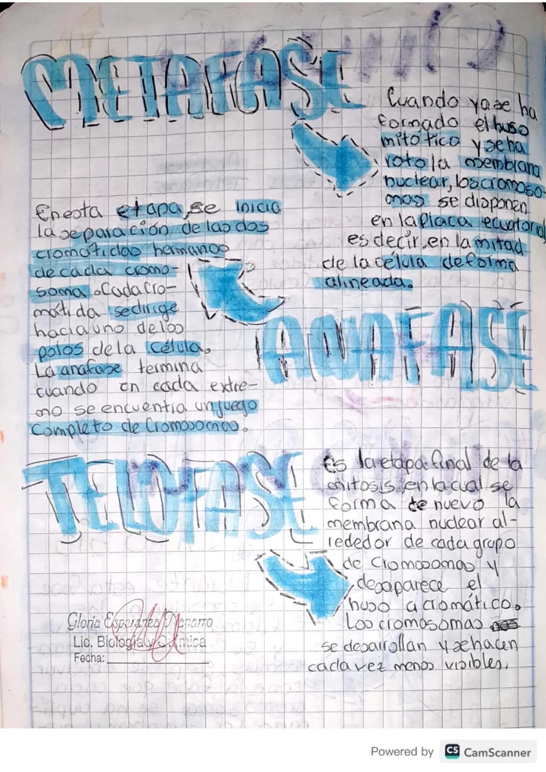 00
# CICIO CELULAR
1
# Interfase
I to el período comprendido
I entre la citoanesis y milosis
y representa la mayor parte
dela vida de una ce