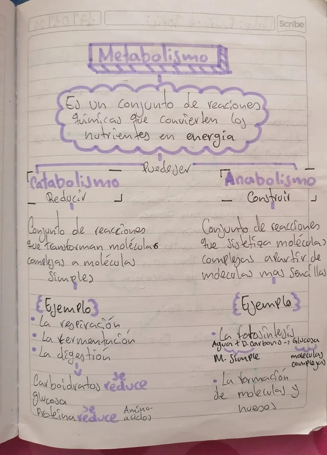# Metabolismo
Ed un
Conjunto de
quimicas que convierten (oj
nutrientes en energia
Puede ver
Catabolismo
Reduciv
ப
Conjunto de reaccione