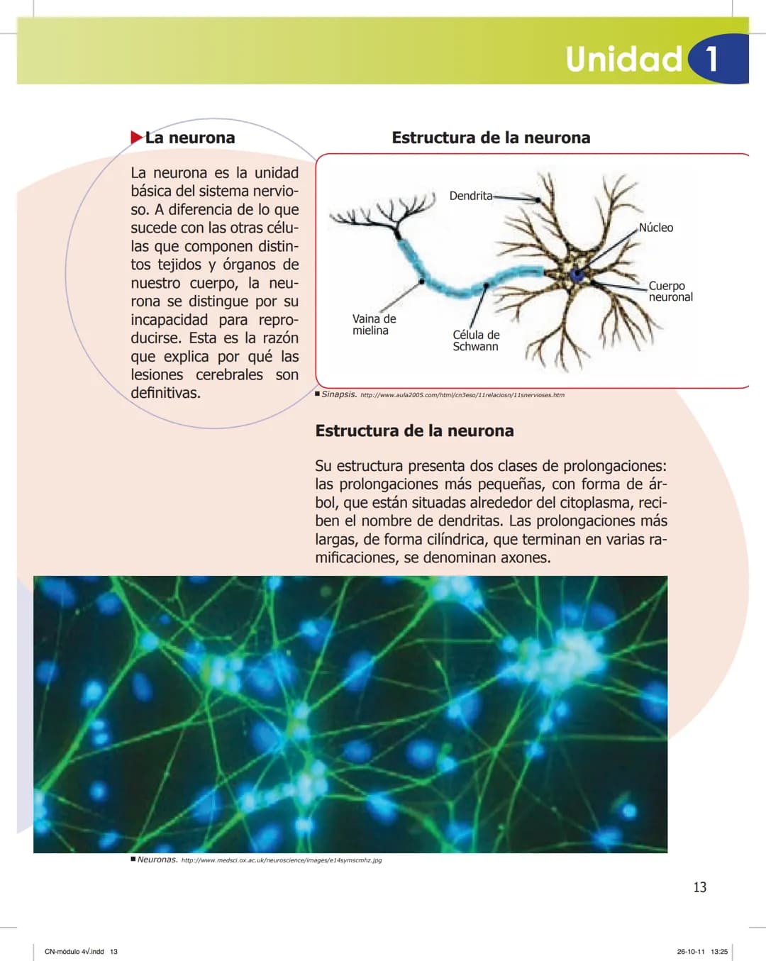 tapas 3345.indd 1
Mamed
CIENCIAS NATURALES
SEGUNDO CICLO
MÓDULO 4
Los seres vivos y el ambiente:
Recepción y flujo de
información en el o