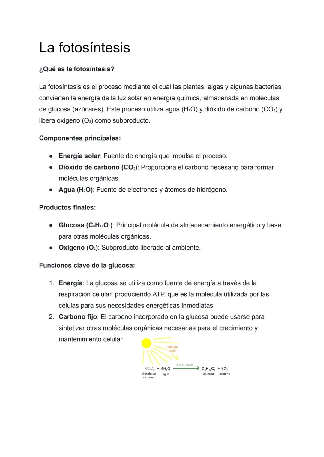 # La fotosíntesis
¿Qué es la fotosíntesis?
La fotosíntesis es el proceso mediante el cual las plantas, algas y algunas bacterias
convierte