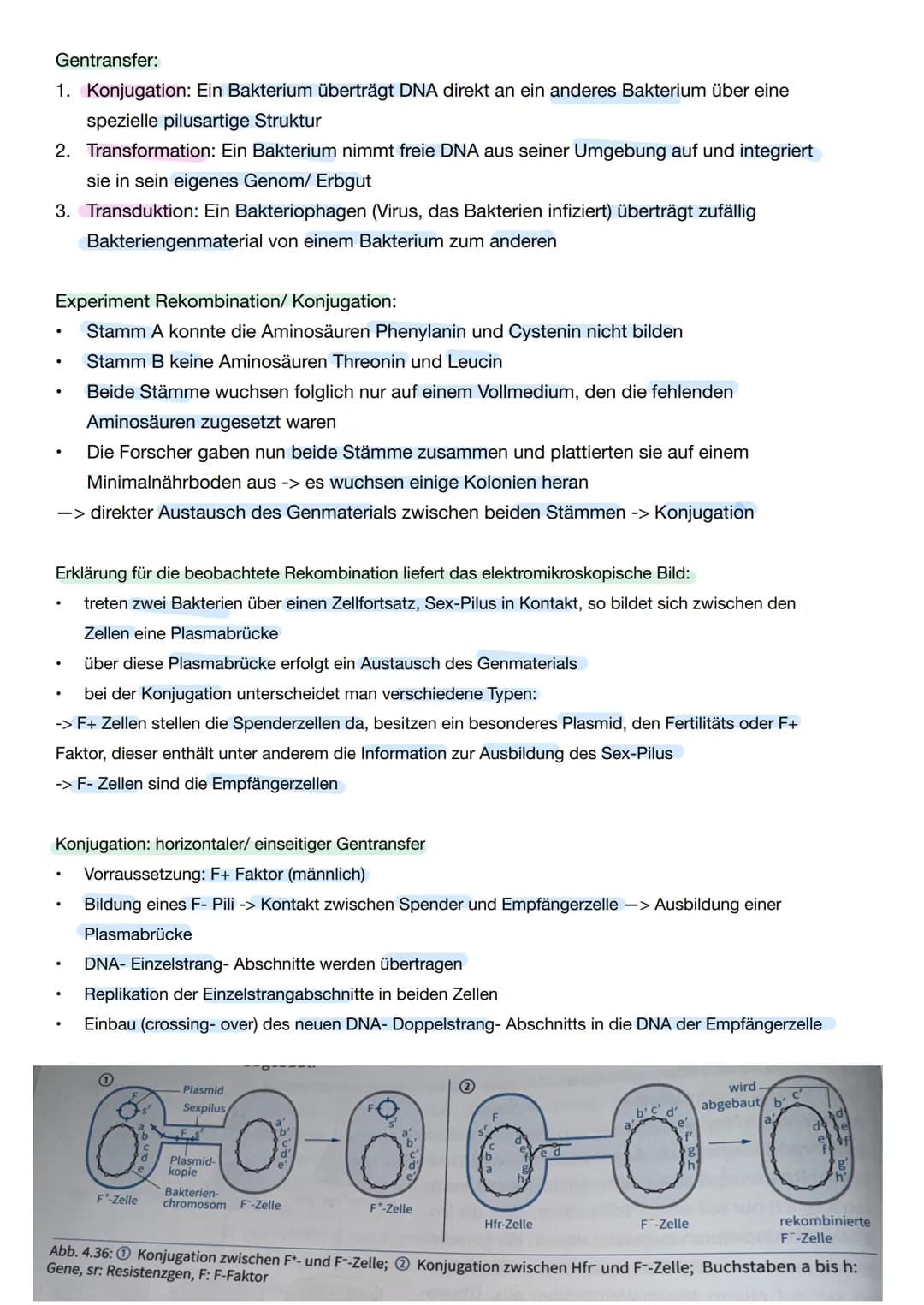 # Q1. 2 Gene und Gentechnik
Bau und Vermehrung von Bakterien: -> Bakterien wie E.coli gehören zu den
Prokaryoten
Vorteile von Bakterien in
