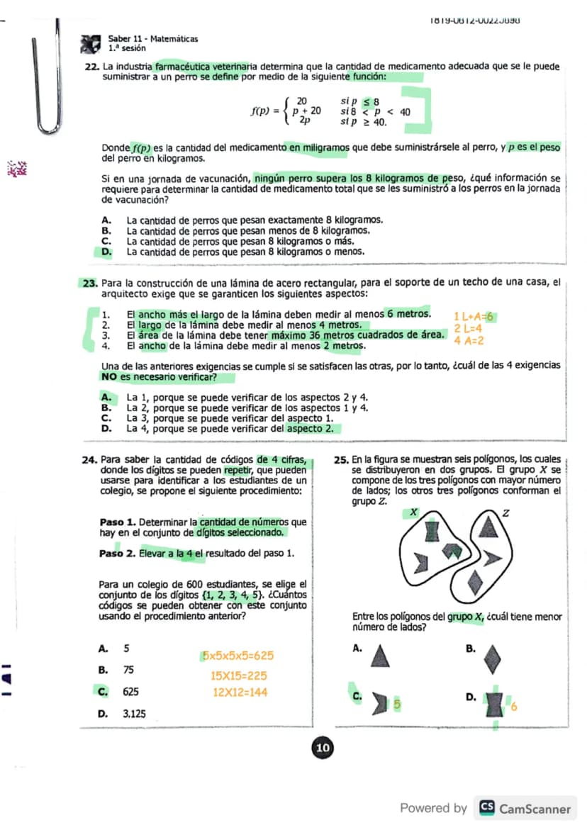 Page 10