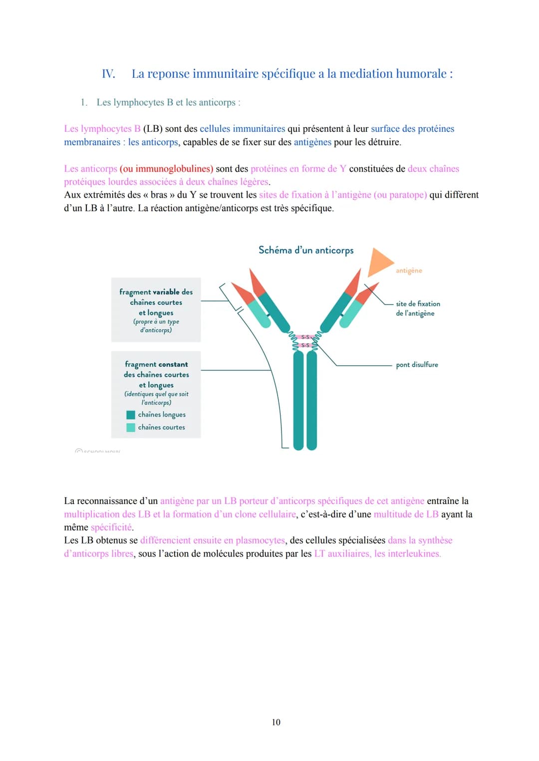 Biologie et Physiopathologie Humaines
Terminale ST2S
Pôle 3: Système immunitaire et défense de l'organisme
I. Les maladies infectieuses: