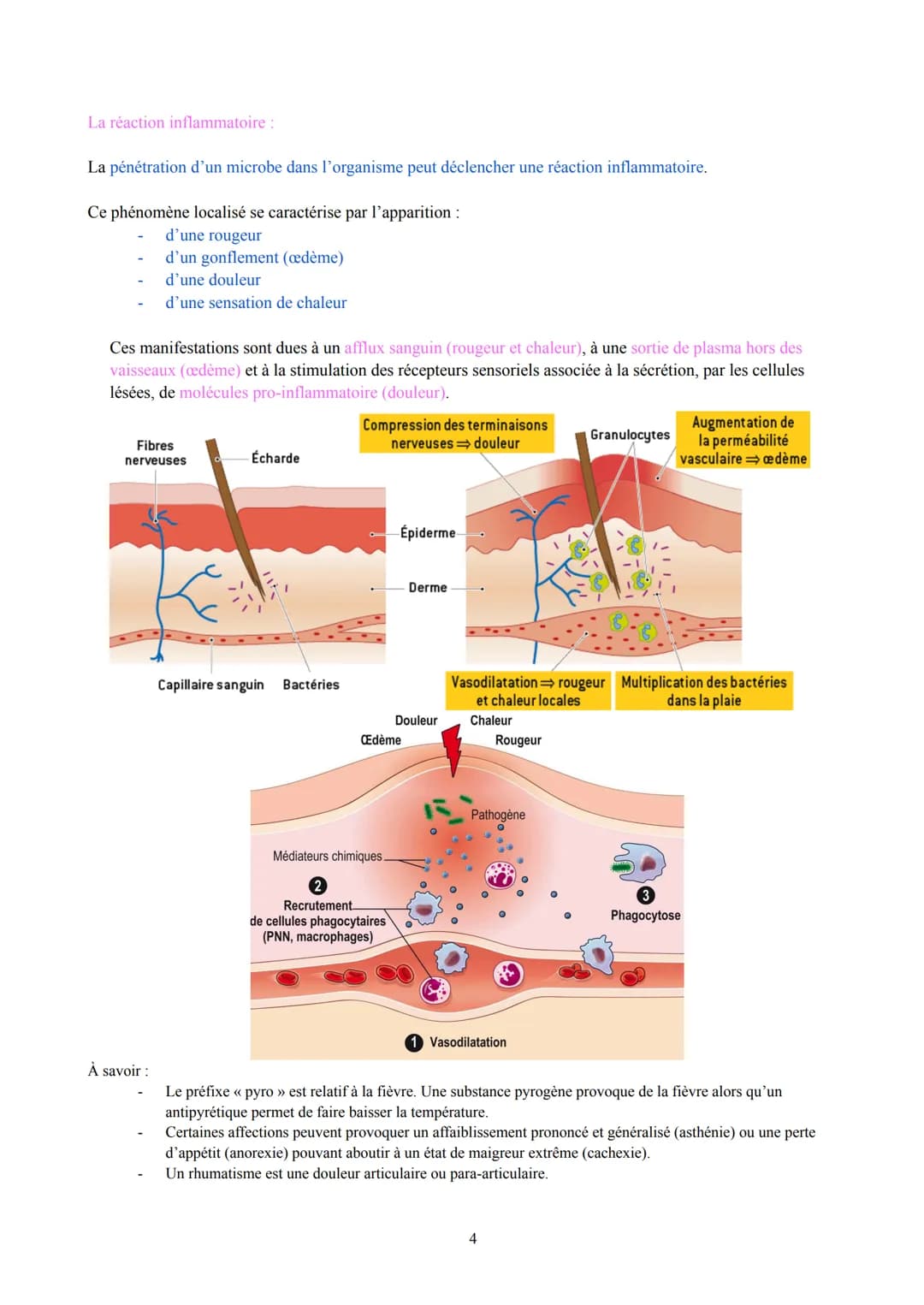 Biologie et Physiopathologie Humaines
Terminale ST2S
Pôle 3: Système immunitaire et défense de l'organisme
I. Les maladies infectieuses: