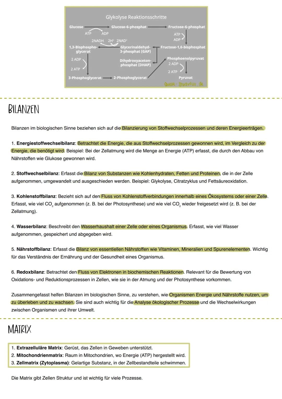 # BIOLOGIE LERNZETTEL
THEMEN: ENZIME, KATABOLISMUS UND ANABOLISMUS, ATP, MEMBRANAUFBAU/BIOMEMBRAN, ZELLPLASMA, MITOCHONDRIEN, GLYKOLYSE/GLU