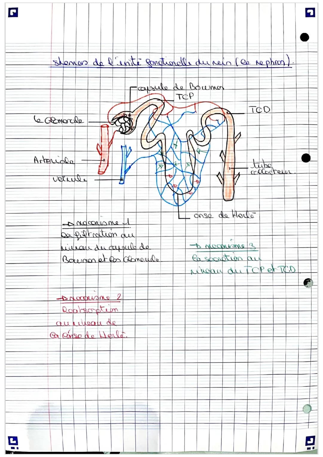 day t
Π
le milieu interieur fiche de reisin
INTRO =
le corps human est compose d'environ 65% d'can.
L'eau est on ponconance en movement ent