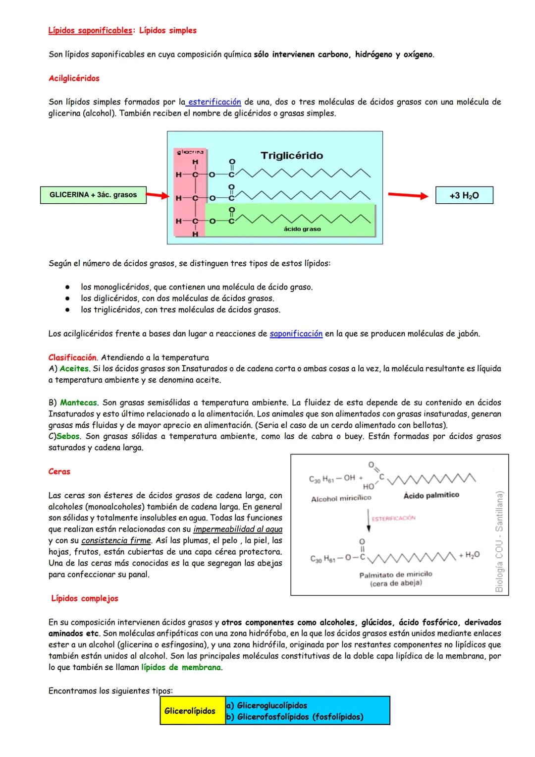 # Lípidos
Concepto de lípido
Clasificación de los lípidos
Los ácidos grasos
- Características
- Clasificación
- Propiedades
Lípidos SAPON