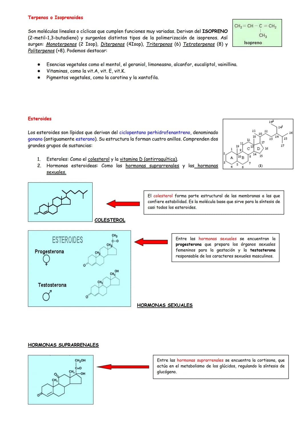 # Lípidos
Concepto de lípido
Clasificación de los lípidos
Los ácidos grasos
- Características
- Clasificación
- Propiedades
Lípidos SAPON
