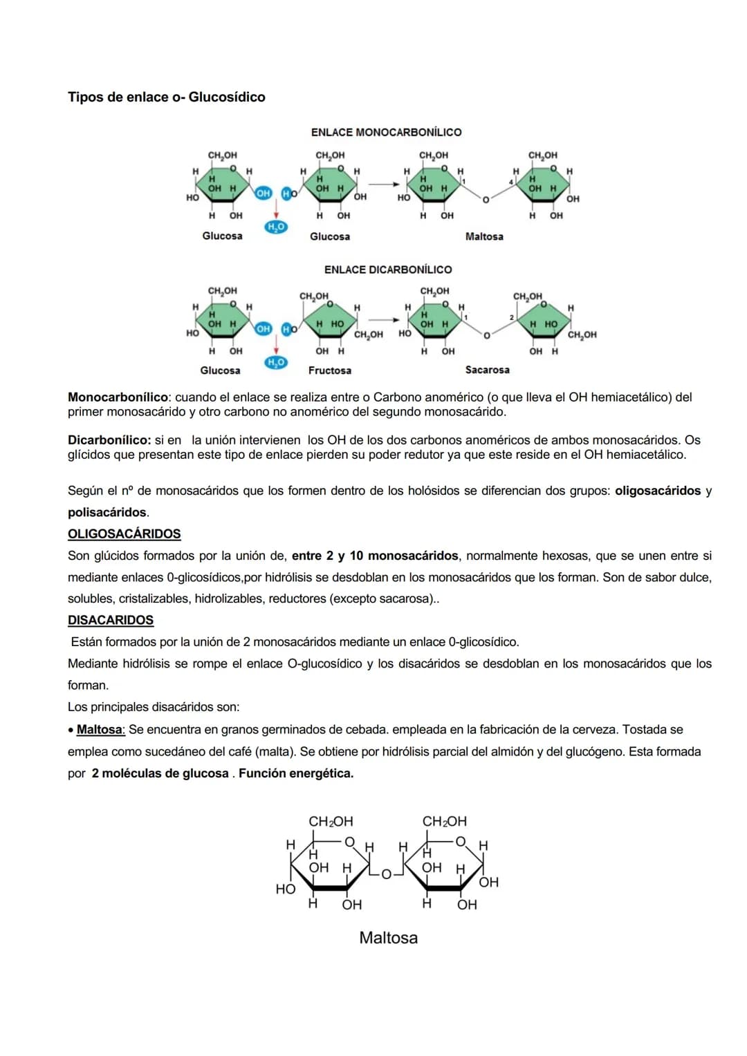 # CARACTERISTICAS GENERALES
GLÚCIDOS
Los glúcidos son biomoléculas orgánicas que están formadas principalmente por C, H y O.
Su formula g