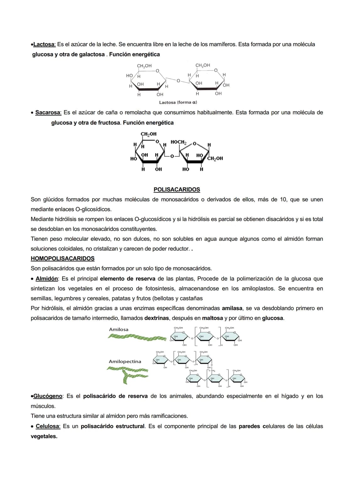 # CARACTERISTICAS GENERALES
GLÚCIDOS
Los glúcidos son biomoléculas orgánicas que están formadas principalmente por C, H y O.
Su formula g